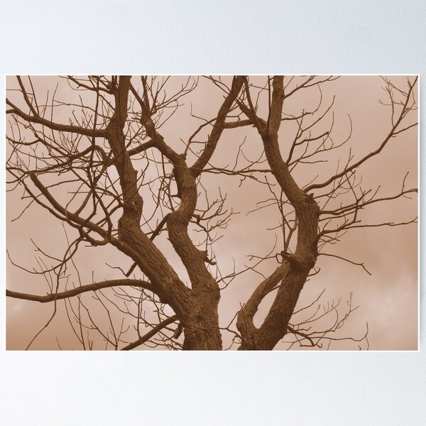 Item preview, Lone Tree designed and sold by Carolyn Ricks.