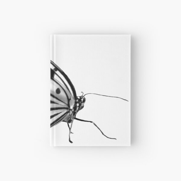 Schmetterling schwarz weiß, Natur, Insekt Notizbuch