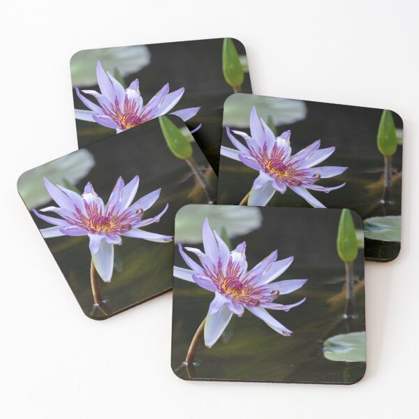 Item preview, Water Lilly designed and sold by barkeypf.