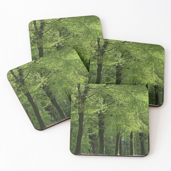 Item preview,  Beech Trees in Spring Leaf. designed and sold by Rob-Turner.