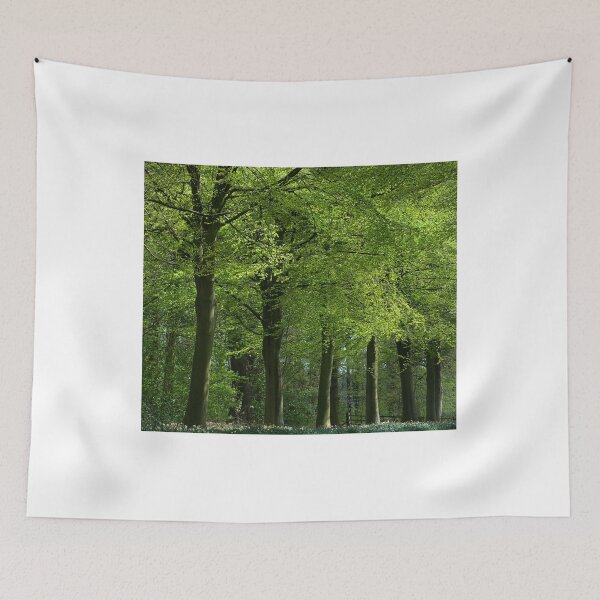 Item preview,  Beech Trees in Spring Leaf. designed and sold by Rob-Turner.