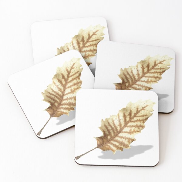 Item preview, Brown Fall Leaf on White Background designed and sold by sigdesign.
