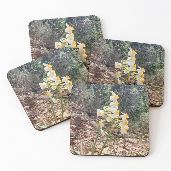 Item preview, White Wild Narcissus Flower designed and sold by sigdesign.