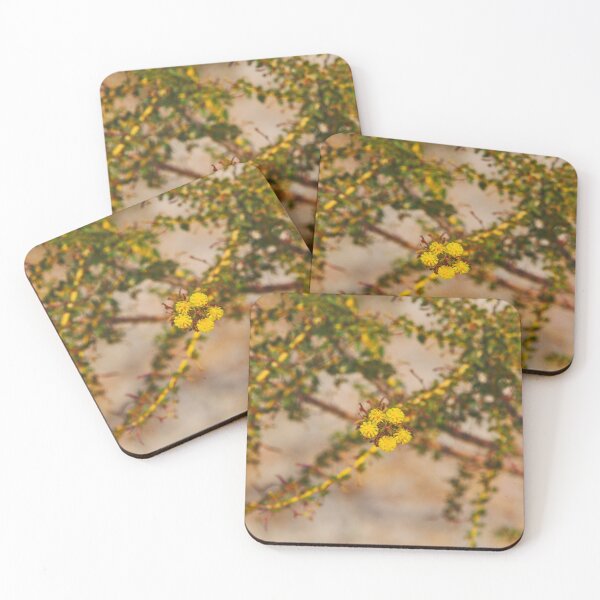 Item preview, The Yellow, Bristly Flowers Of A Mimosa Tree In The Australian Bush designed and sold by Jason Gilbert.