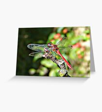 Cute Dragonfly Greeting Card