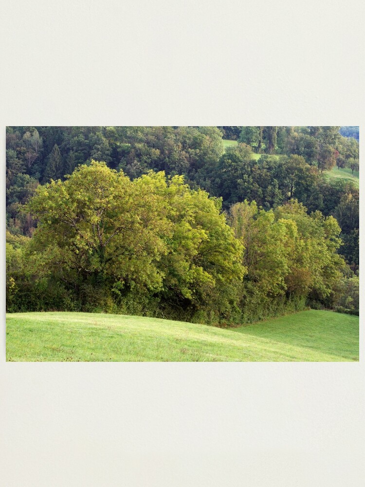 Alternate view of In the light of the first autumn day Photographic Print