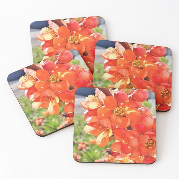 Item preview, blooming quince designed and sold by AidaArt.