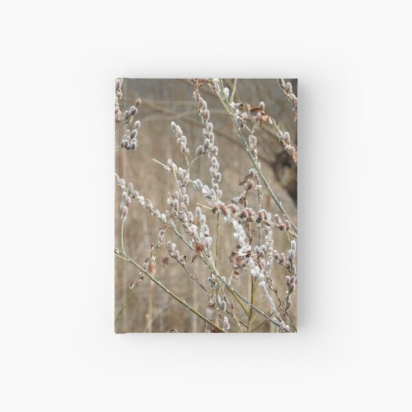 Winter Light Hardcover Journal