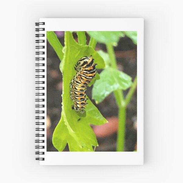 Item preview, Starving Caterpillar  designed and sold by gogrow.