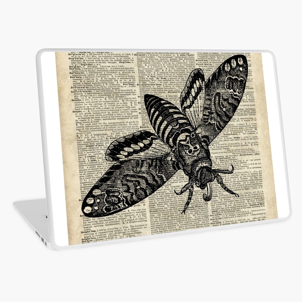 Lizard catching a moth,Vintage Illustration of Reptile. Greeting Card for  Sale by DictionaryArt