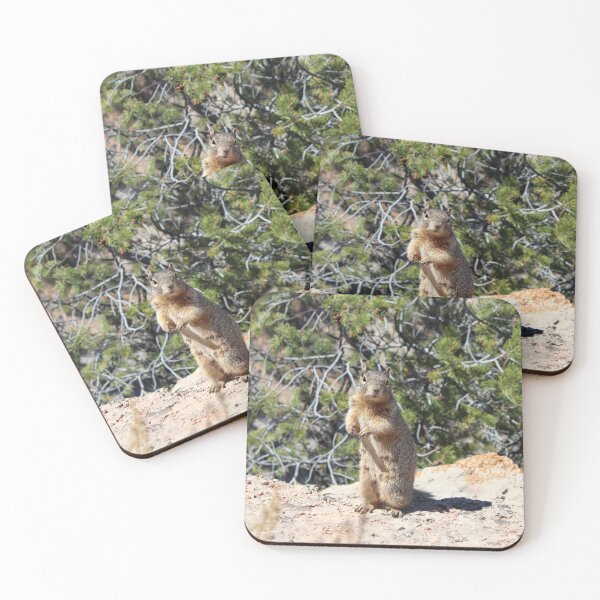 Item preview, Squirrel at the Grand Canyon designed and sold by GymWiller.