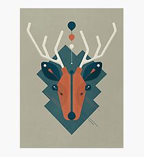 Stag Photographic Print
