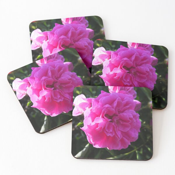 Item preview, Beautiful pink rambling rose flower designed and sold by ArtisticMishaps.