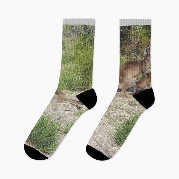 Item preview, Lounging Kangaroos designed and sold by Alakalalak.