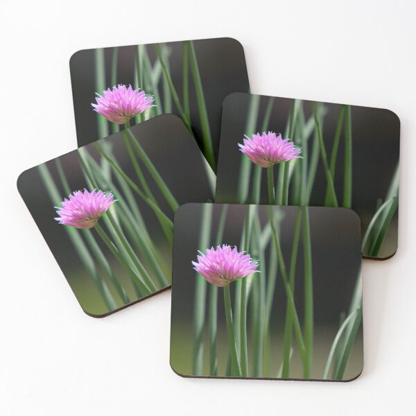 Item preview, Chives designed and sold by specnoodle.