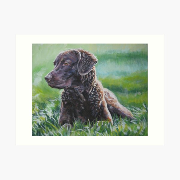 brindle chesapeake bay retriever