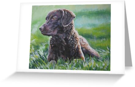 brindle chesapeake bay retriever