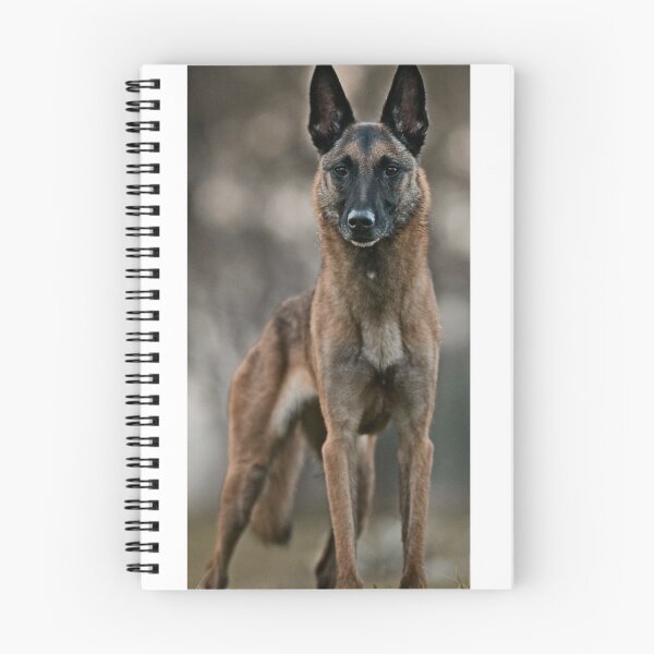Item preview, belgian shepherd malinois amazing designed and sold by mikoala50.
