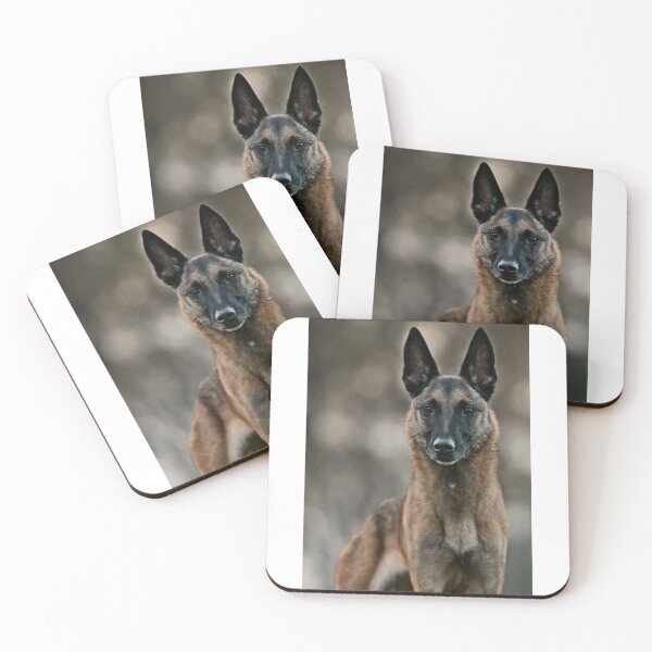 Item preview, belgian shepherd malinois amazing designed and sold by mikoala50.