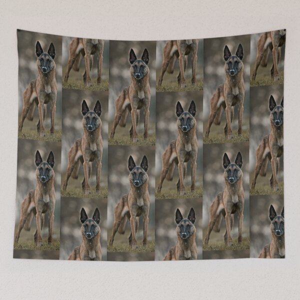 Item preview, belgian shepherd malinois amazing designed and sold by mikoala50.