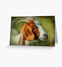 Goat Greeting Card