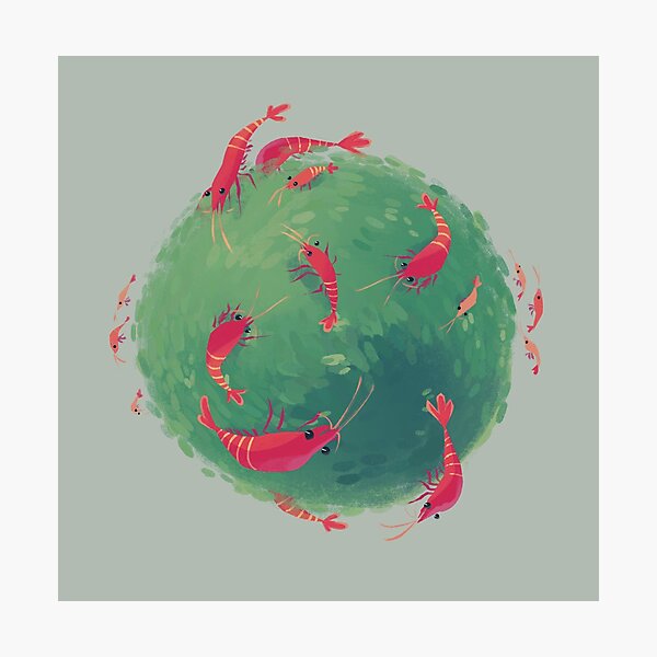 Item preview, Living in a Shrimp World designed and sold by Bedupolker.