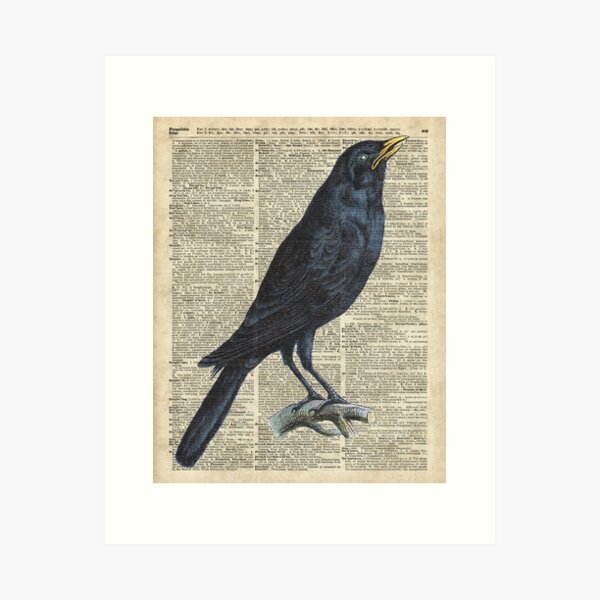 Crow on dictionary book page Art Print