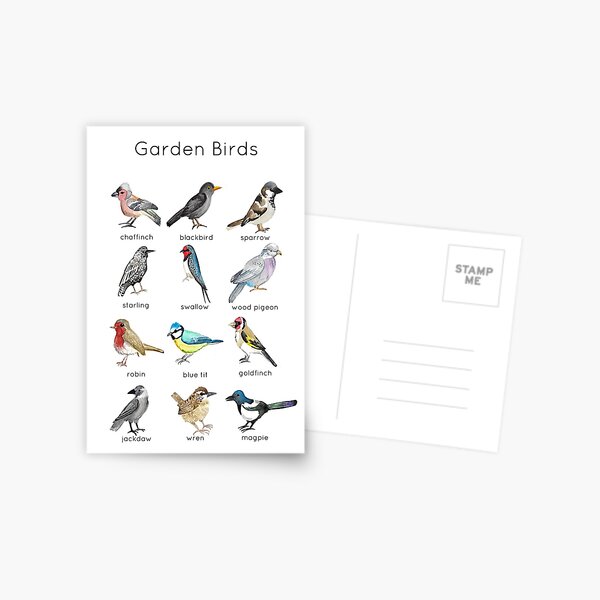 Garden Birds ID Postcard
