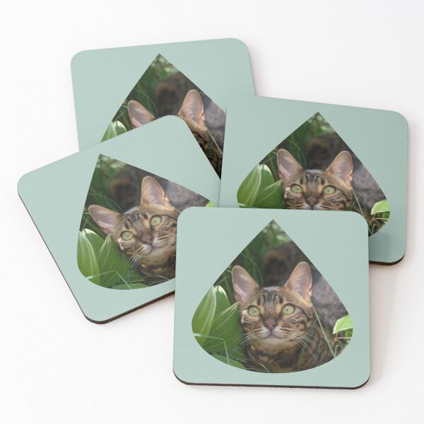 Item preview, Safari cat designed and sold by Goldenskik.