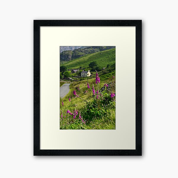 Item preview, Homeward Bound designed and sold by fineartimagery.