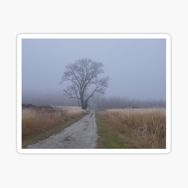 Item preview, Foggy Morning designed and sold by fineartimagery.