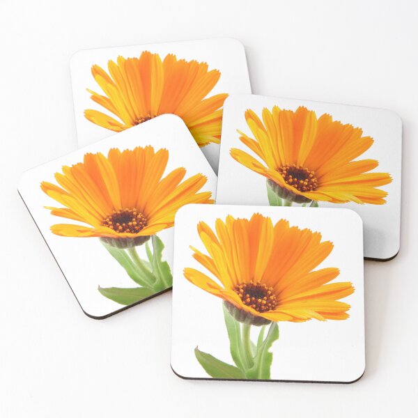 Item preview, Marigold - Calendula Officinalis Isolated On White Background designed and sold by nenovimages.