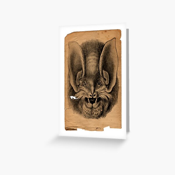 Bat Greeting Card