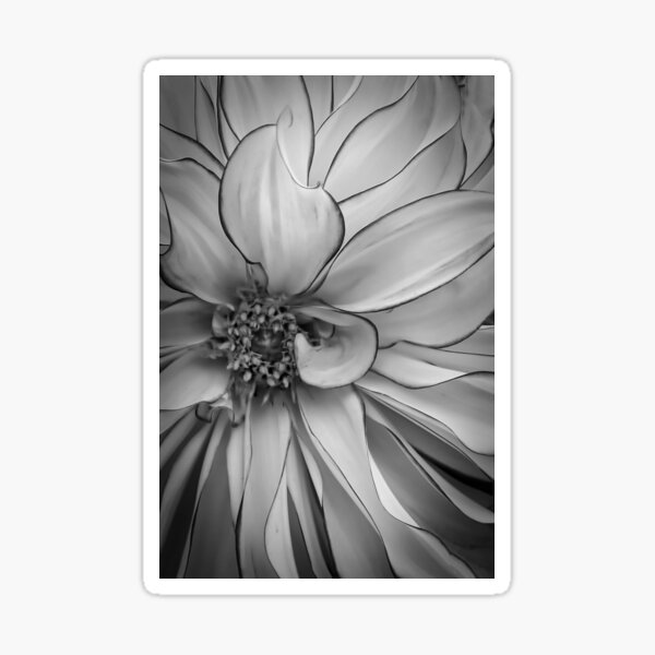 Item preview, A Flower for You designed and sold by fineartimagery.