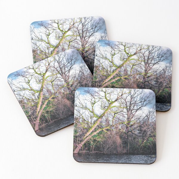 Item preview, Enlightened designed and sold by Olympia Ellinas.