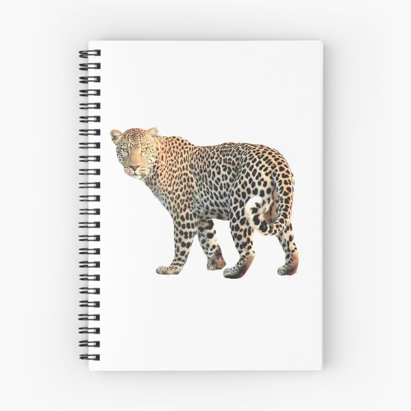 Item preview, A Leopard Hunting In Search For Food designed and sold by Armarzze.
