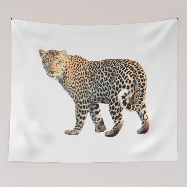 Item preview, A Leopard Hunting In Search For Food designed and sold by Armarzze.