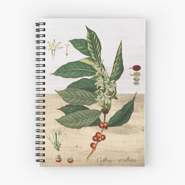 Item preview, Coffea arabica designed and sold by guaxinim.