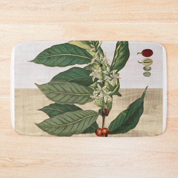 Item preview, Coffea arabica designed and sold by guaxinim.