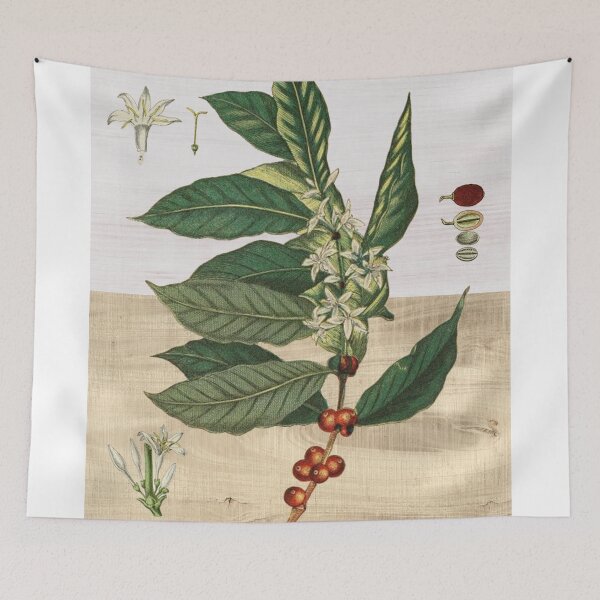 Item preview, Coffea arabica designed and sold by guaxinim.