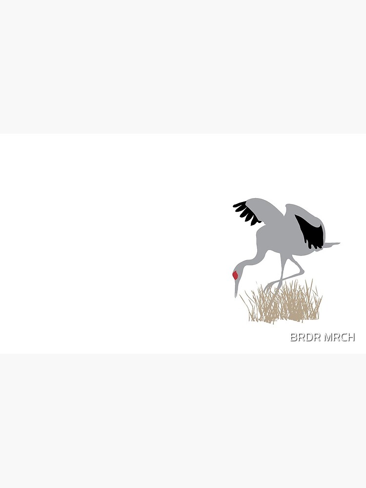 SACR by PRBY