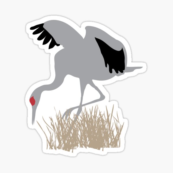 SACR Sticker