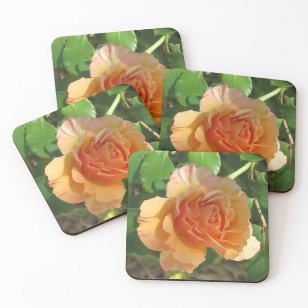 Item preview, Peach Rose designed and sold by Luna-Wilde.