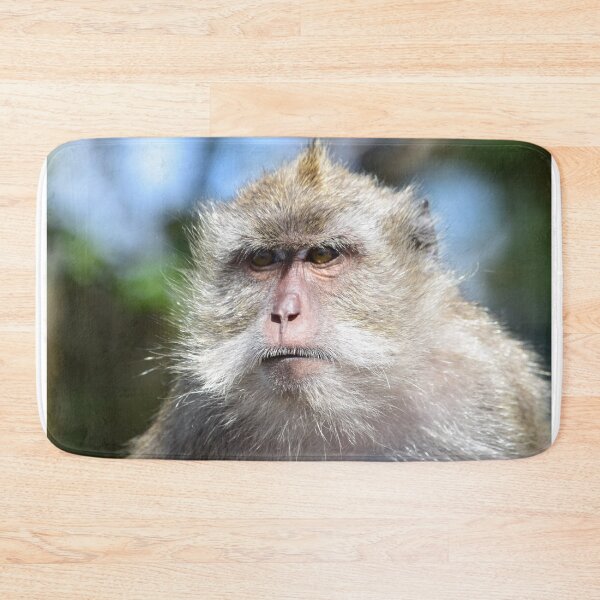 Item preview, Macaque monkey staring designed and sold by Keithydee.