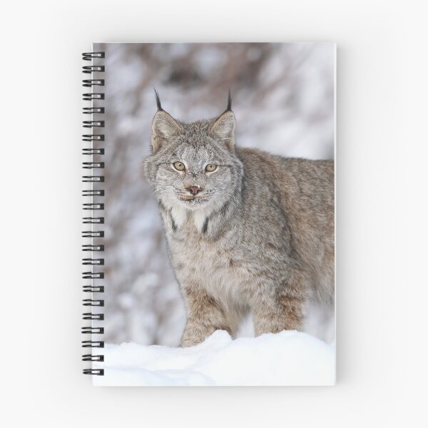 Item preview, Wild Canada Lynx designed and sold by mlorenz.