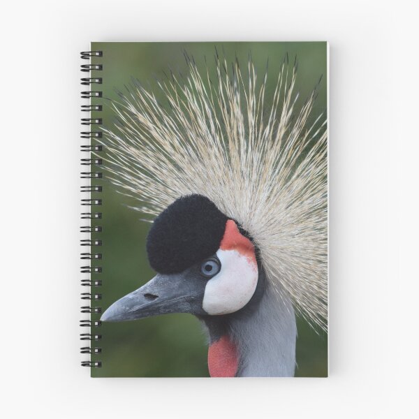 Item preview, Grey crowned crane. designed and sold by Keithydee.