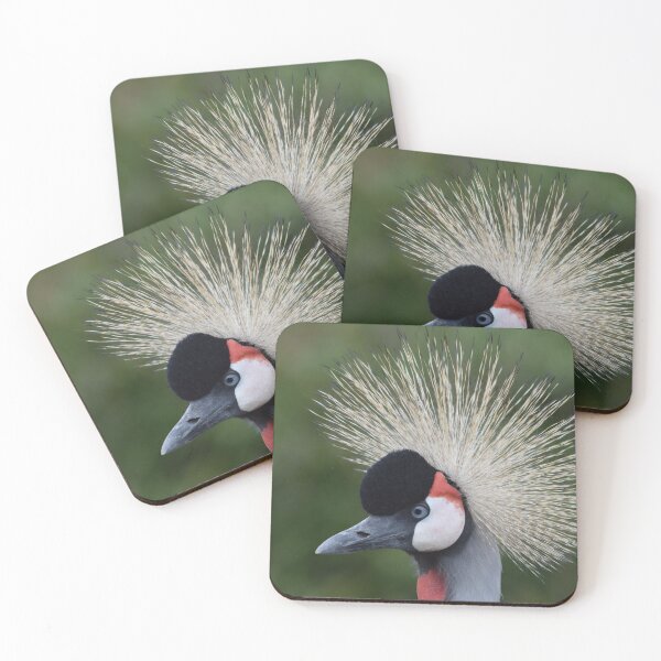 Item preview, Grey crowned crane. designed and sold by Keithydee.