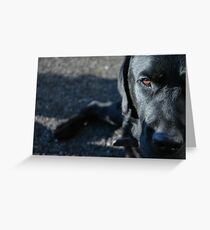 Black Dog Greeting Card