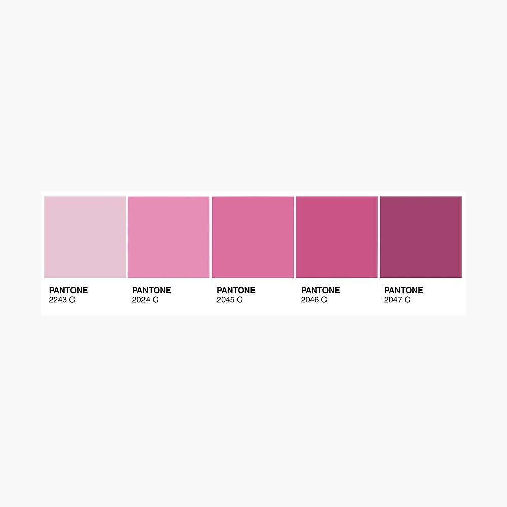 Light pink pantone top
