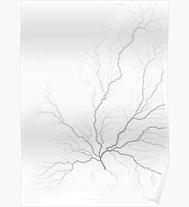 All roads lead to Rome Poster